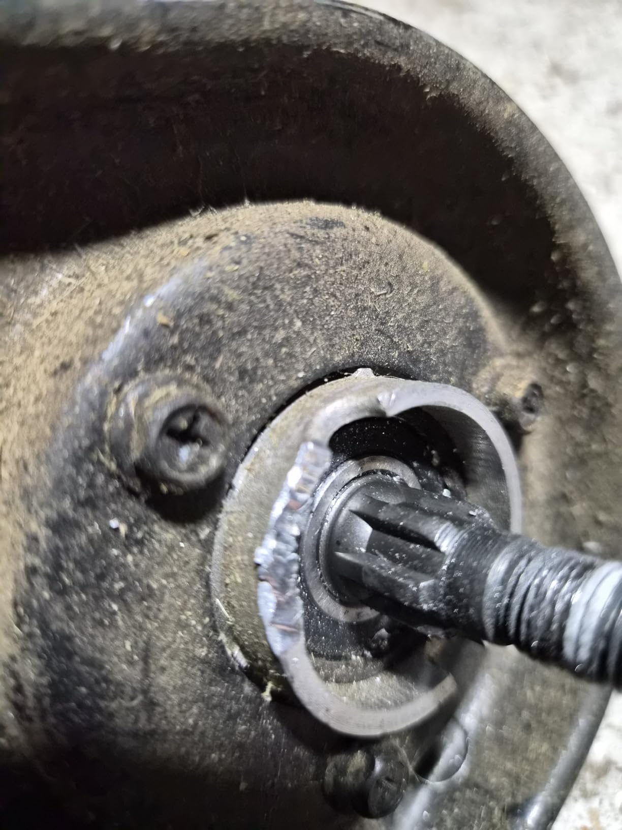 8 Inch Brushcutter Attachment customer photo 1
