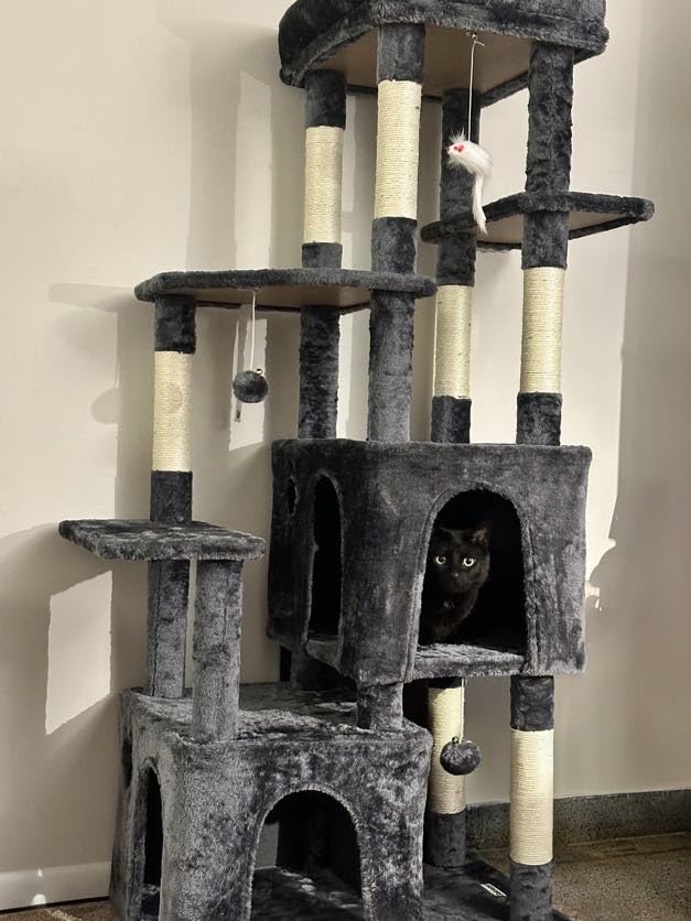 Globlazer Heavy Duty Cat Trees for Big Cats Maine Coon, F61, Light Grey customer photo 1