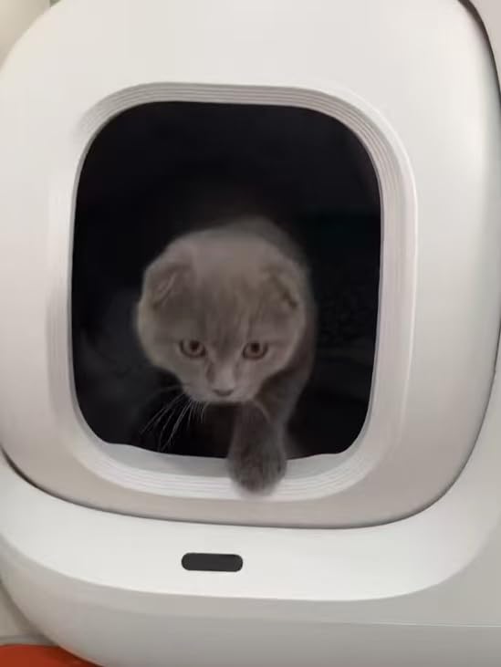 PETKIT PuraMax 2 Odor Free Automatic Cat Litter Box,with 2-Year Coverage customer photo 1