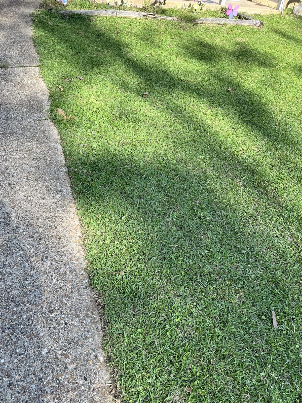 Electric String Trimmer Cordless with 2.0Ah Battery & Charger 20V Lawn Tool customer photo 1