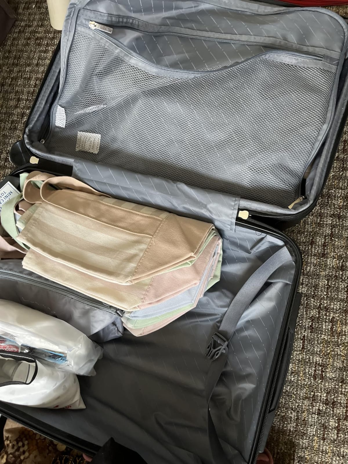 Sweetcrispy 20 Inch Carry On Luggage, Suitcase with Spinner Wheels customer photo 2