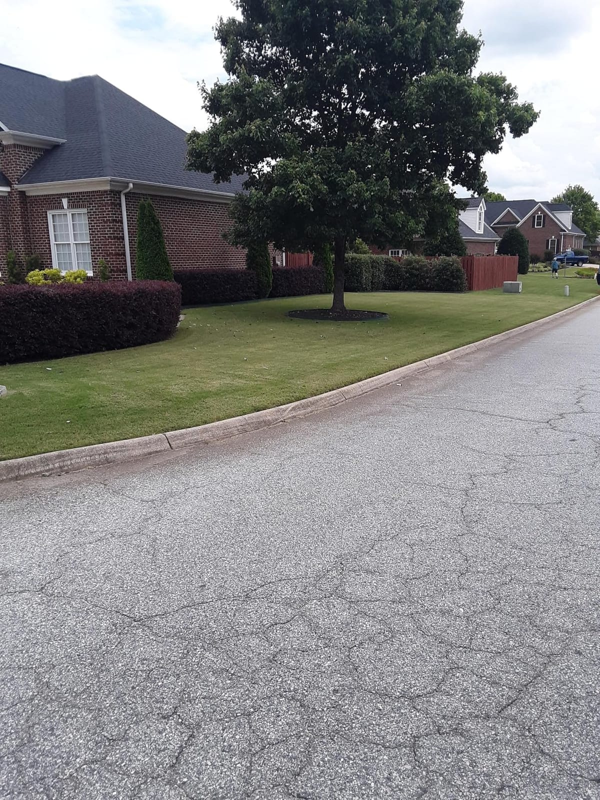 VEVOR Lawn Edger 8.8-in Blade, 20V Battery Powered Cordless Edger Lawn Tool customer photo 2
