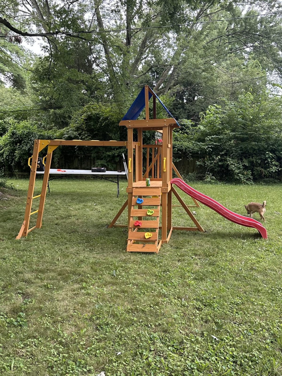 Wooden Swing Sets for Backyard with Monkey Bar, Outdoor Playset for Age 3-6 customer photo 2
