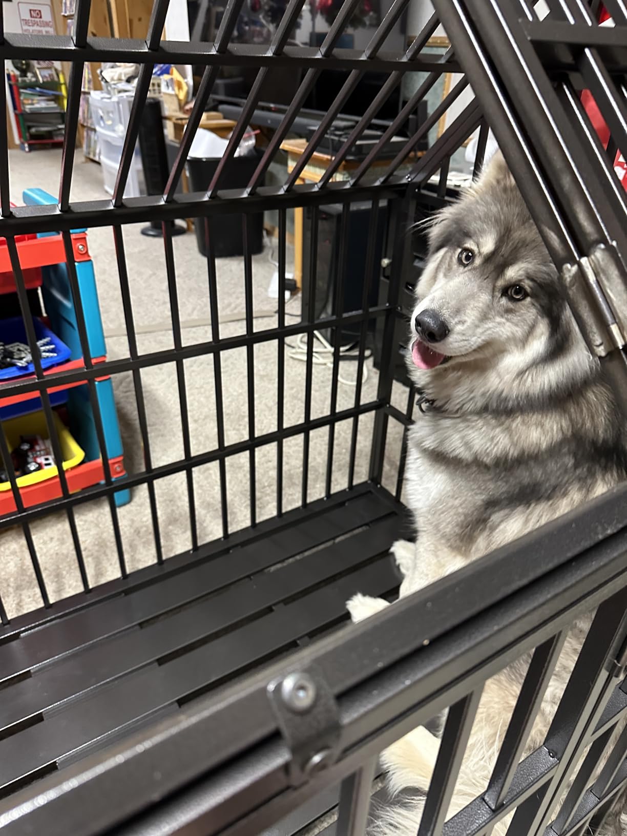 64 inch Heavy Duty Indestructible Dog Crate, New Upgraded Reinforced for Giant Dogs, XXXL Dog Crate for High Anxiety Dogs/Max Load Capacity 300lbs/Double Door with Wheels customer photo 2