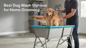 Best Dog Wash Stations for Home Grooming