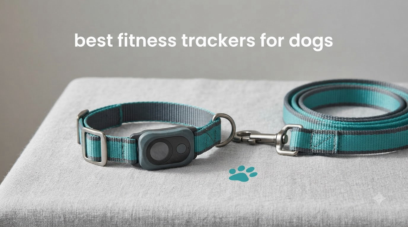 best fitness trackers for dogs