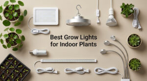 Best Grow Lights for Indoor Plants