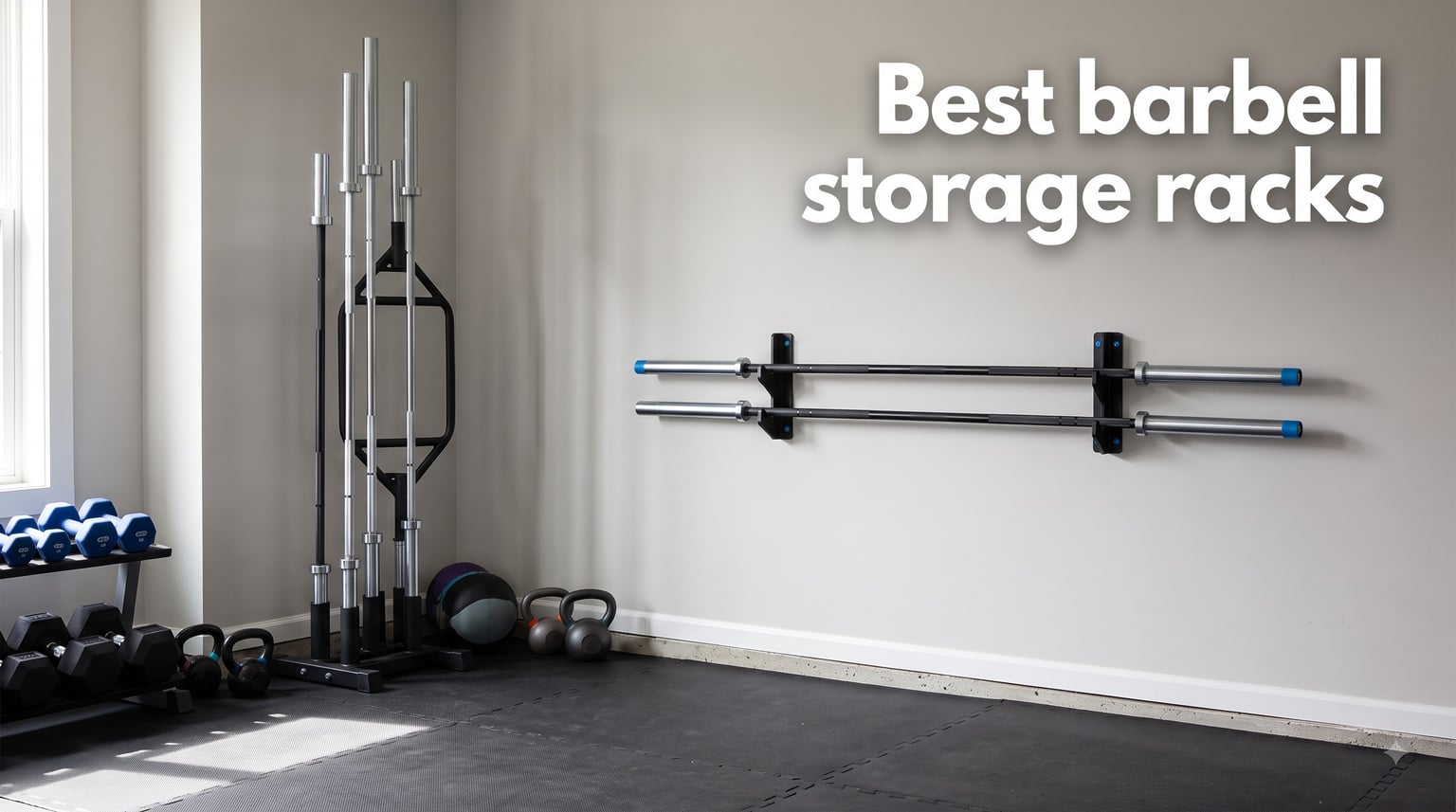 best barbell storage racks