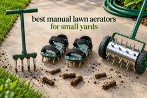 best manual lawn aerators for small yards