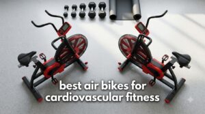 best air bikes for cardiovascular fitness