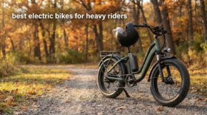 best electric bikes for heavy riders