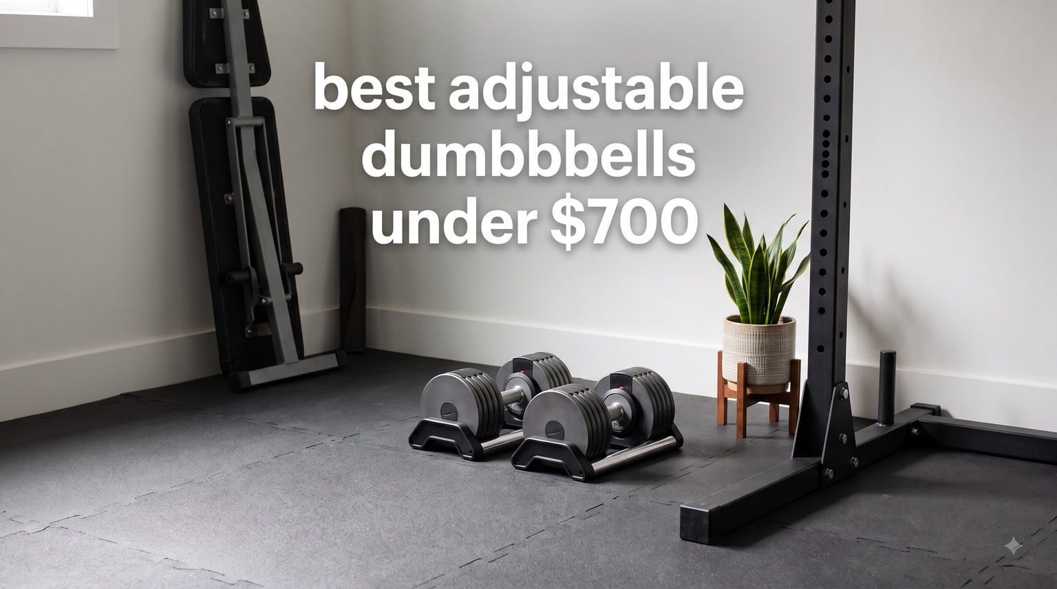 best adjustable dumbbells under $700