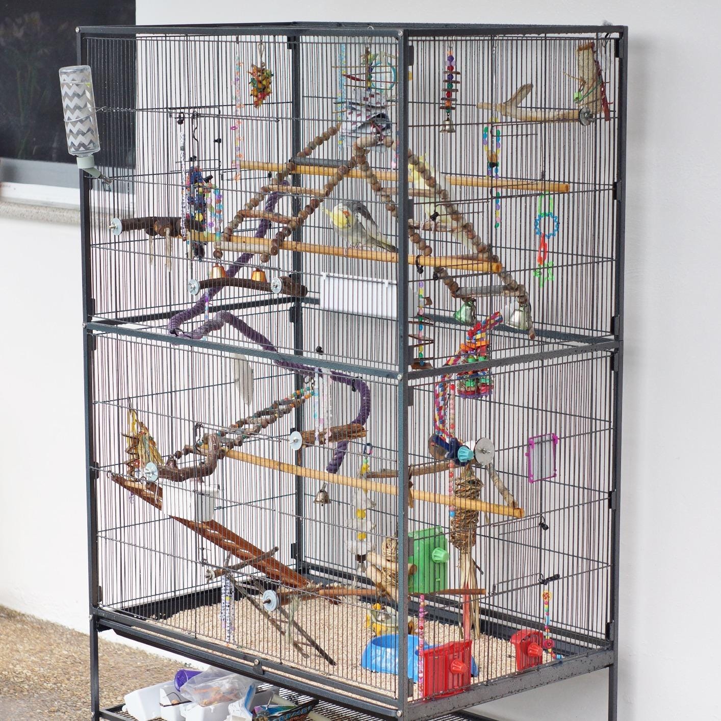 Prevue Hendryx Pet Products Wrought Iron Flight Cage - Big Rolling Bird Cage for Parakeets, Cockatiels, Conures, Lovebirds, Canaries, Finches, Parrotlets, & Caiques, 5 Ft - X-Large, Hammertone Black customer photo 1