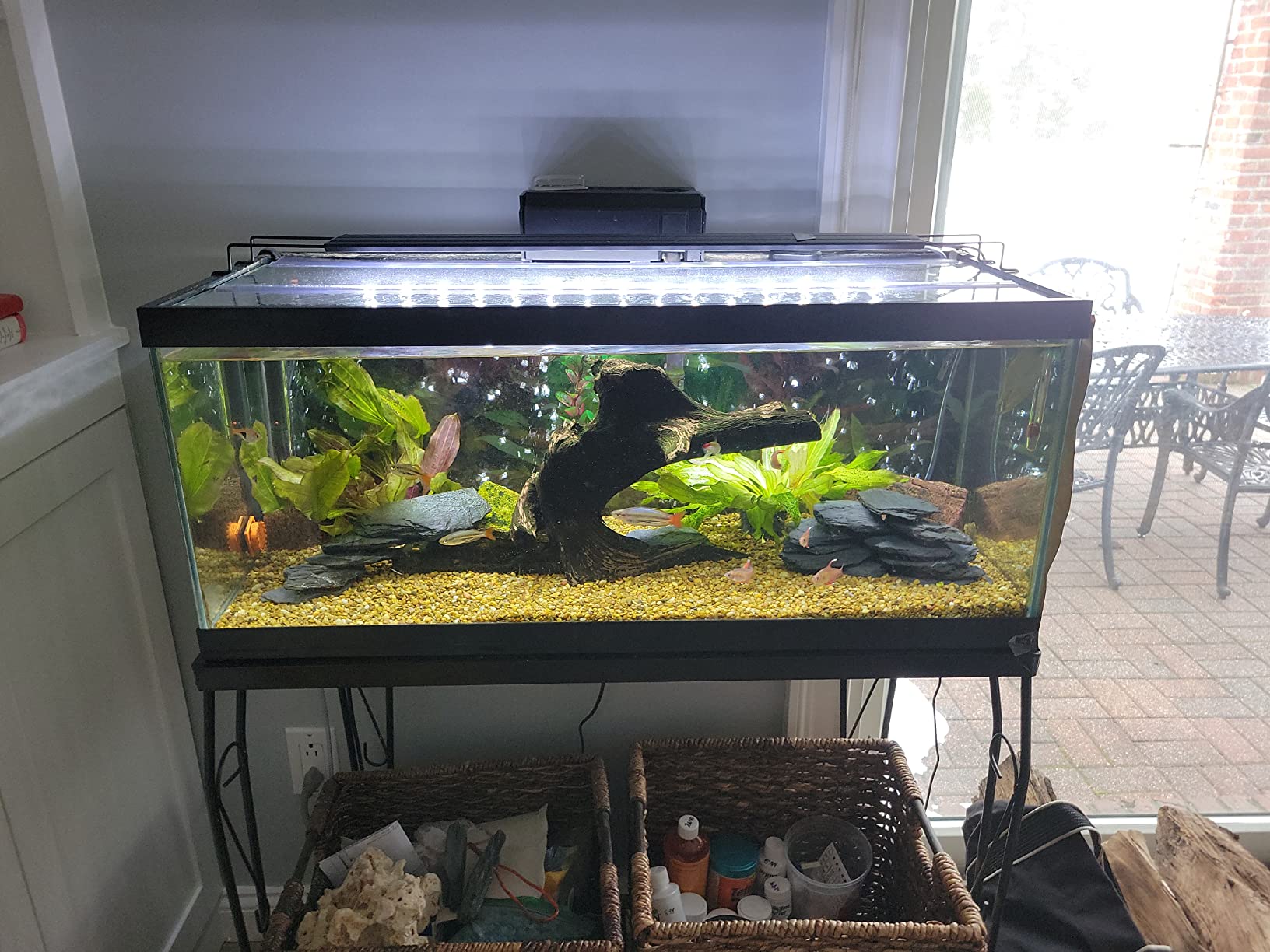 Tetra Whisper PF40 Power Filter For Aquariums customer photo 2