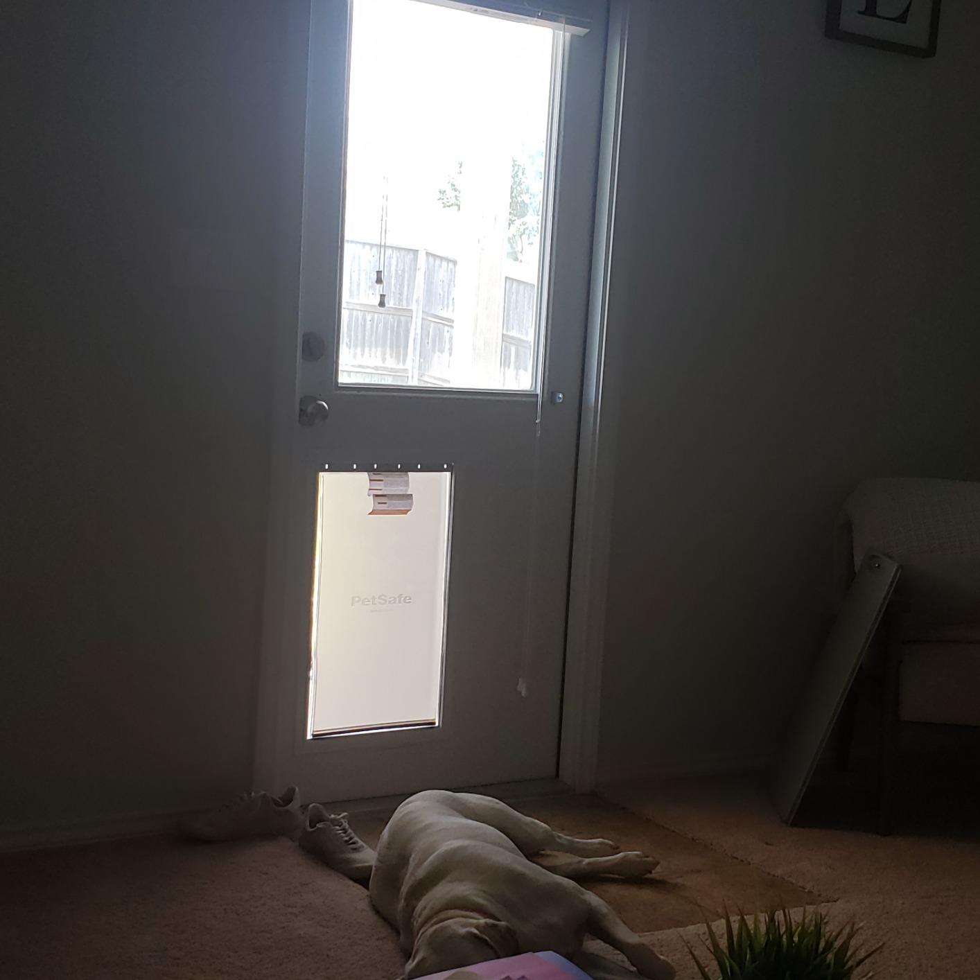 PetSafe Freedom Aluminum Pet Door, Vinyl Flap, Up to 220 lb, X-Large, White customer photo 2