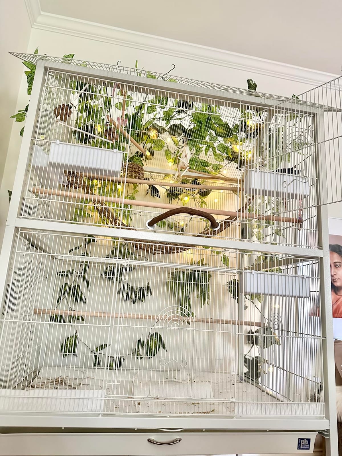 Prevue Pet Products Steel Bird Flight Cage with Wheels - Black, Large customer photo 1