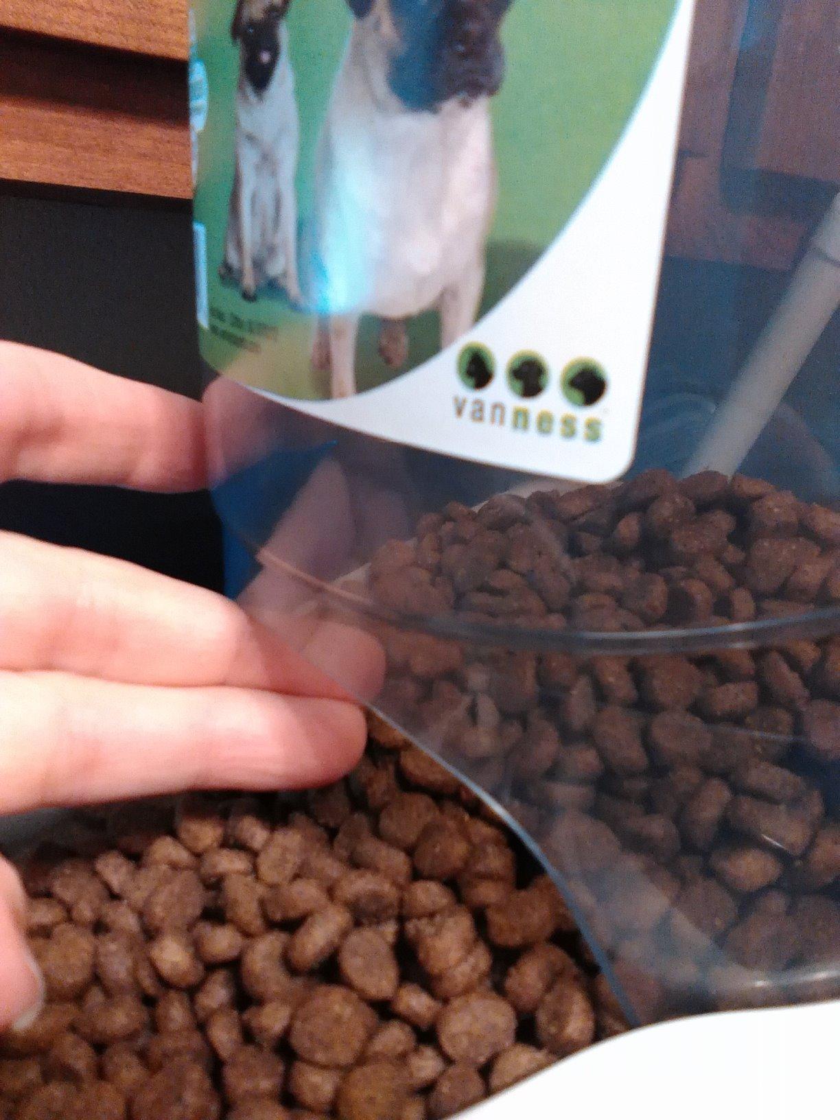 Van Ness Pets Extra Small Auto Gravity Feeder, 1.5 Pound Capacity for Dogs and Cats, White customer photo 1