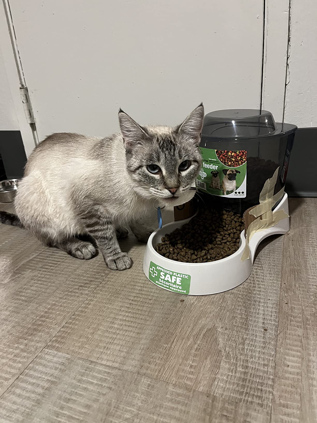 Van Ness Pets Extra Small Auto Gravity Feeder, 1.5 Pound Capacity for Dogs and Cats, White customer photo 2