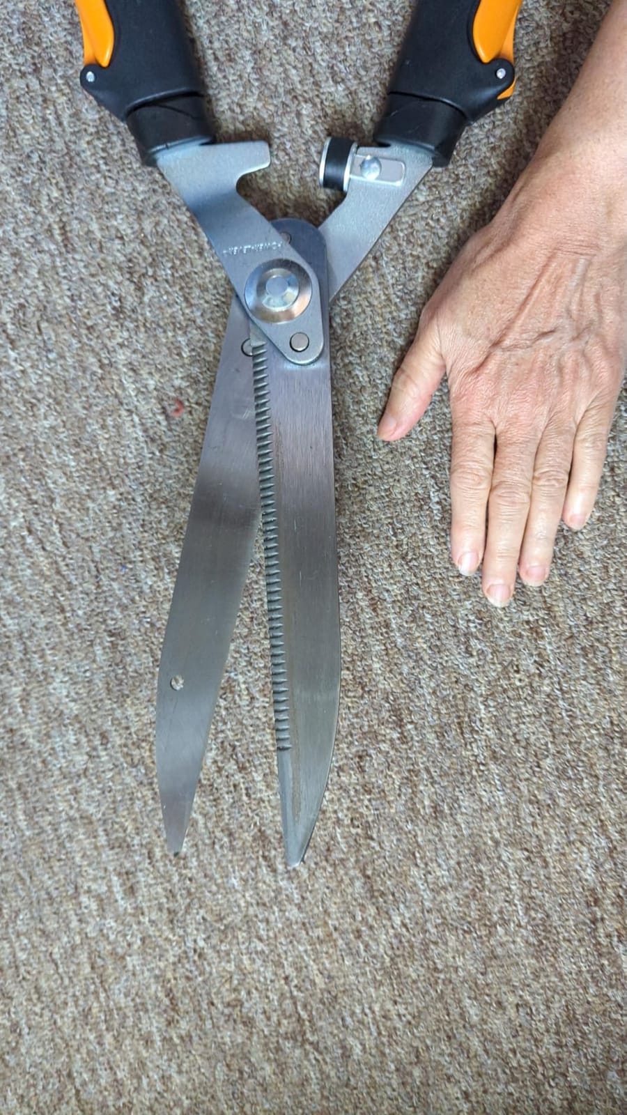 Fiskars 25