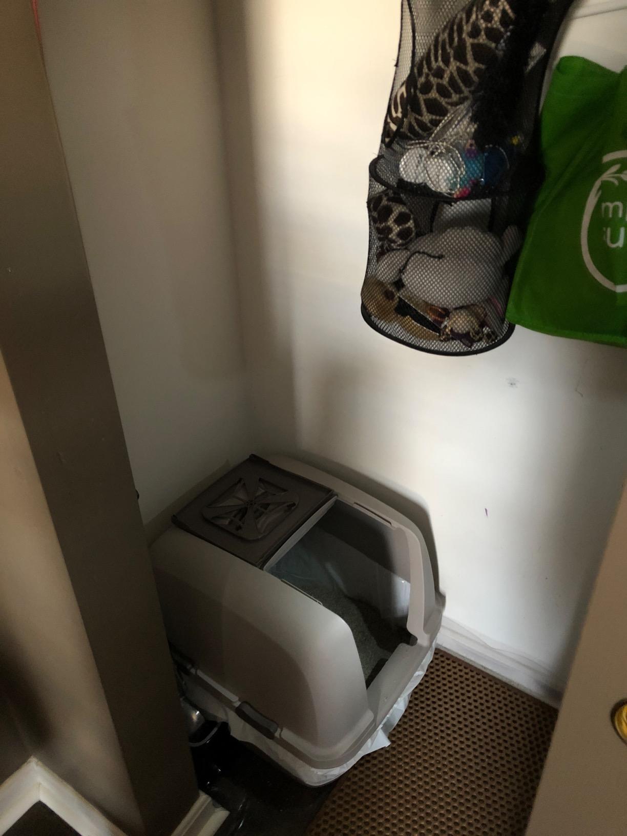 Litter Champ Cat Litter Disposal System, Hands-Free Pedal Trash Can customer photo 1