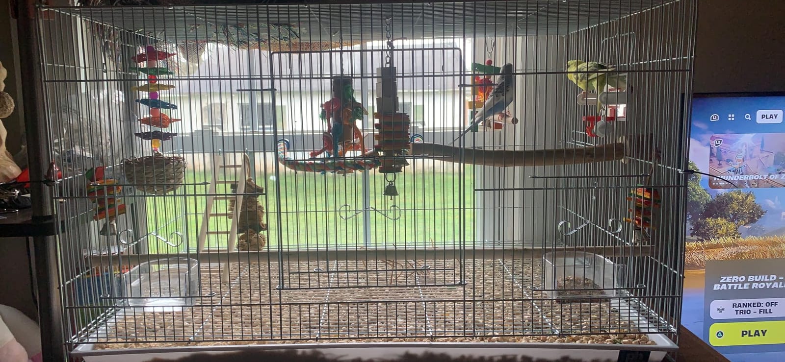Prevue Pet Products Flight Cage Metal Steel Bird Crate, Multi-Bird Home Stackable Cage for Birds, Home Crate for Extra-Small Pet Parakeets, Finches, and More, White customer photo 1