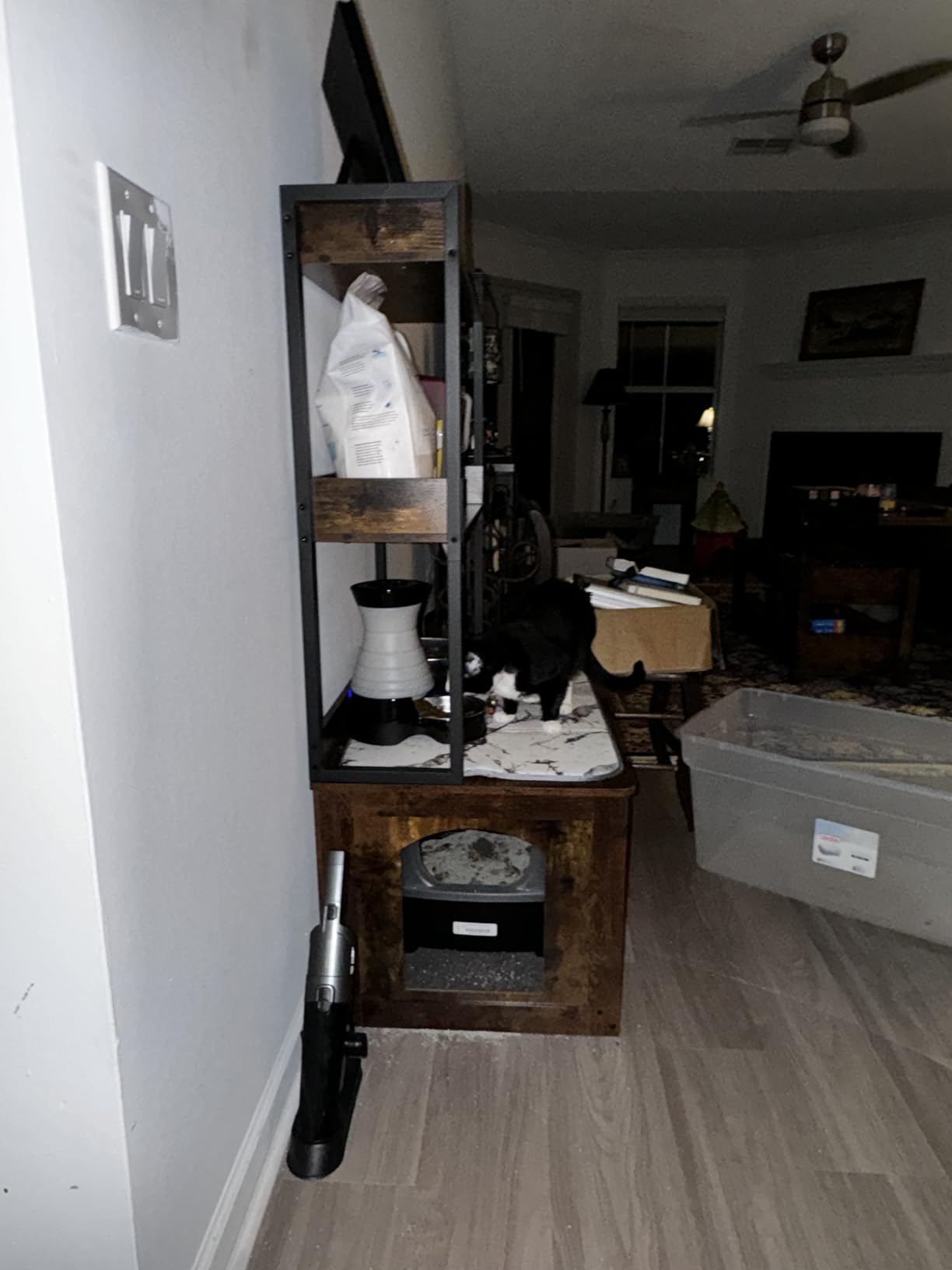 PetSafe Healthy Pet Food Station, 2 lb Gravity Feeder, Cats & Dogs, Small customer photo 1