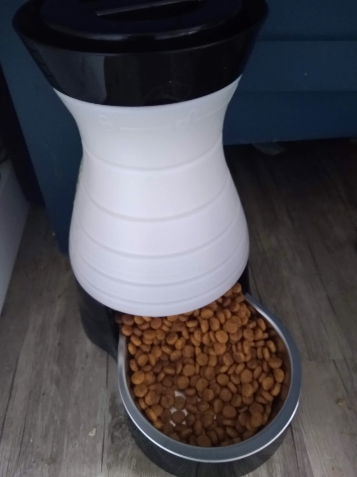 PetSafe Healthy Pet Food Station, 2 lb Gravity Feeder, Cats & Dogs, Small customer photo 2