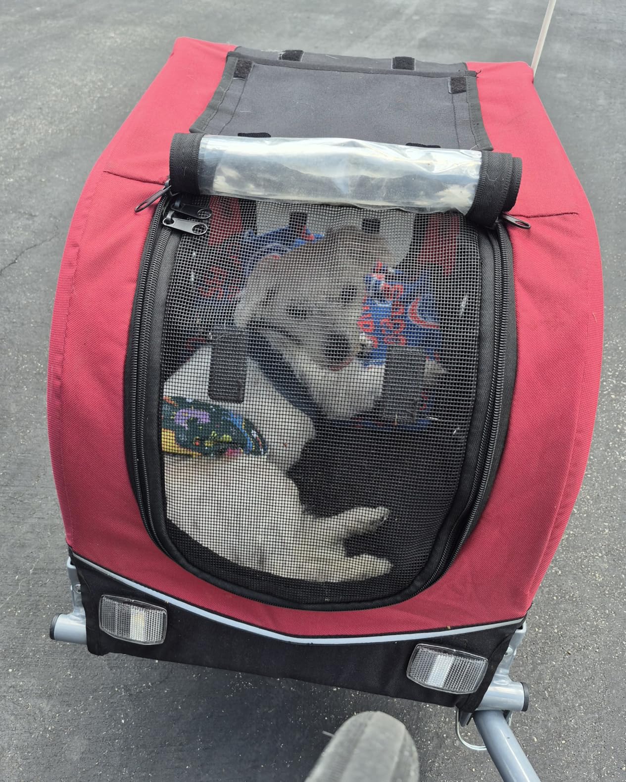 TRIXIE Dog Trailer for Bicycles, Dog Bike Trailer for Small Dogs up to 33 lbs, Quick Set-up and Fold Down, Red customer photo 1