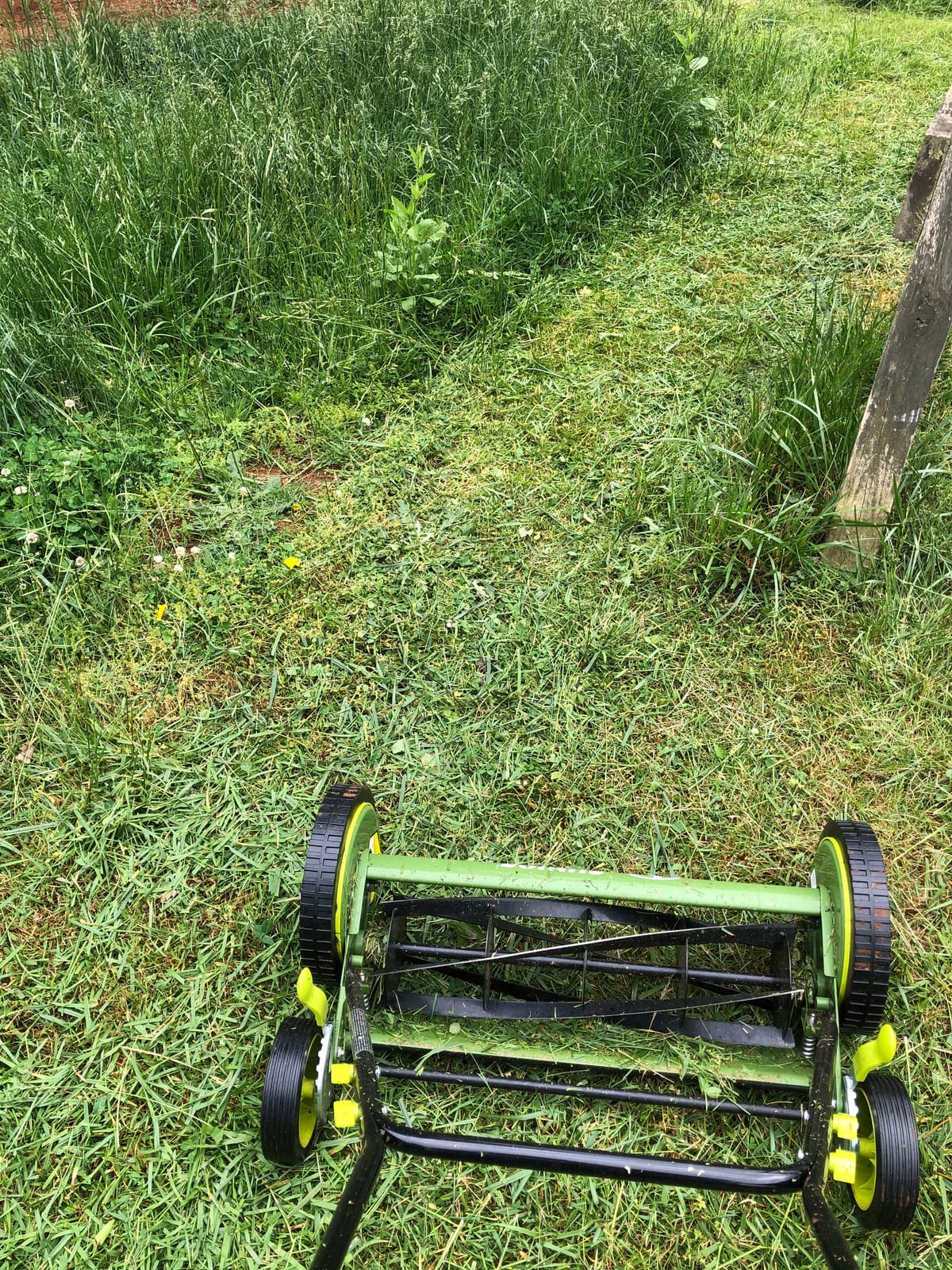 Sun Joe Manual Push Reel Lawn Mower with Grass Catcher, Adjustable Cutting Height, 20-Inch customer photo 2