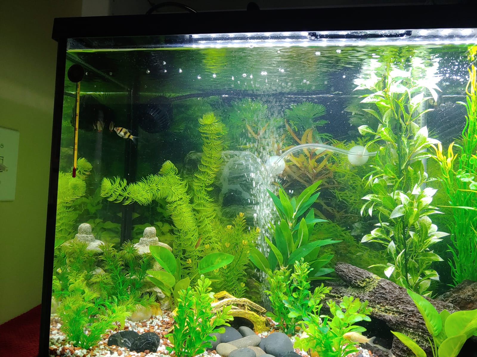 Fluval Sea CP2 Wave Maker Circulation Pump for Aquariums customer photo 1