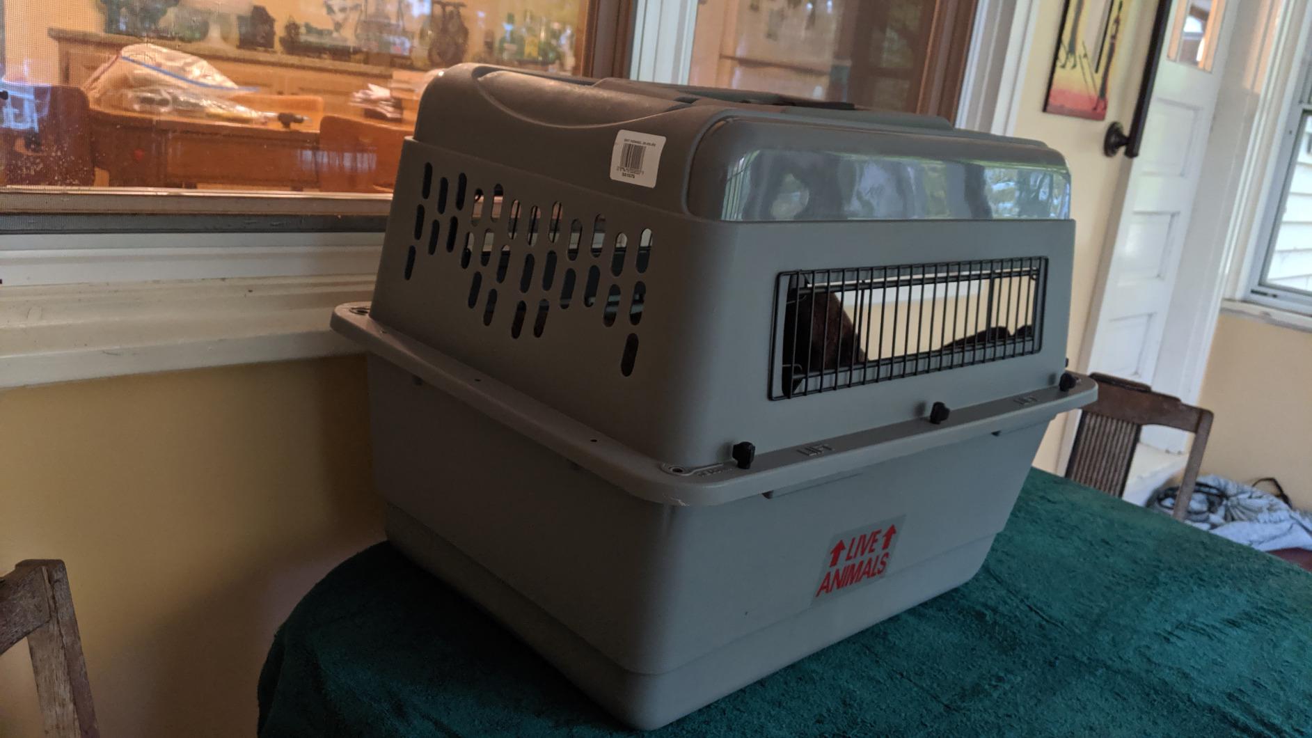 Petmate Sky Kennel for Air Travel, 28in Dog Crate for Pets 15 to 30lbs customer photo 1