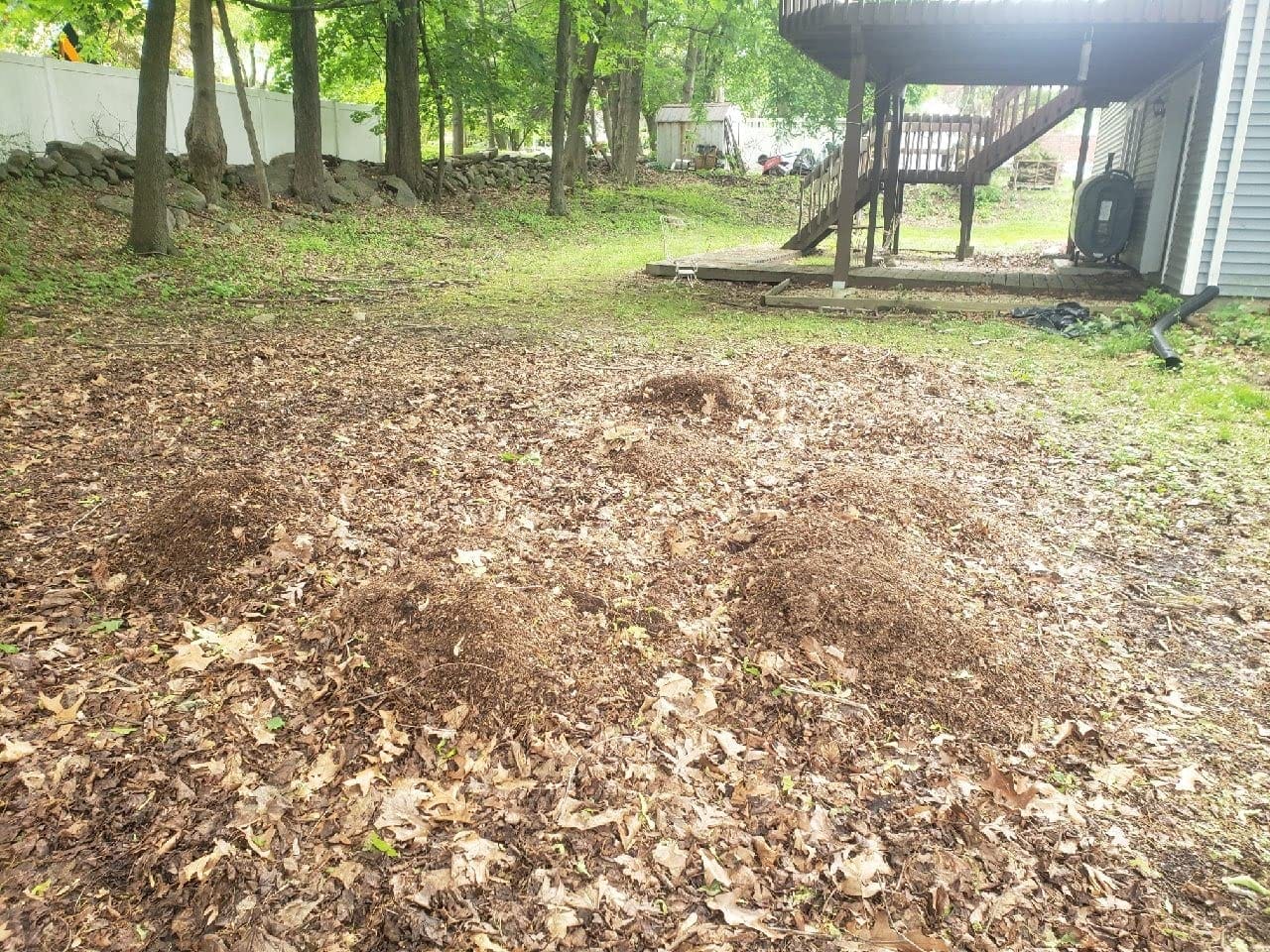 Sun Joe Corded Leaf Mulcher Shredder with Adjustable Control Dial, SDJ616 customer photo 1