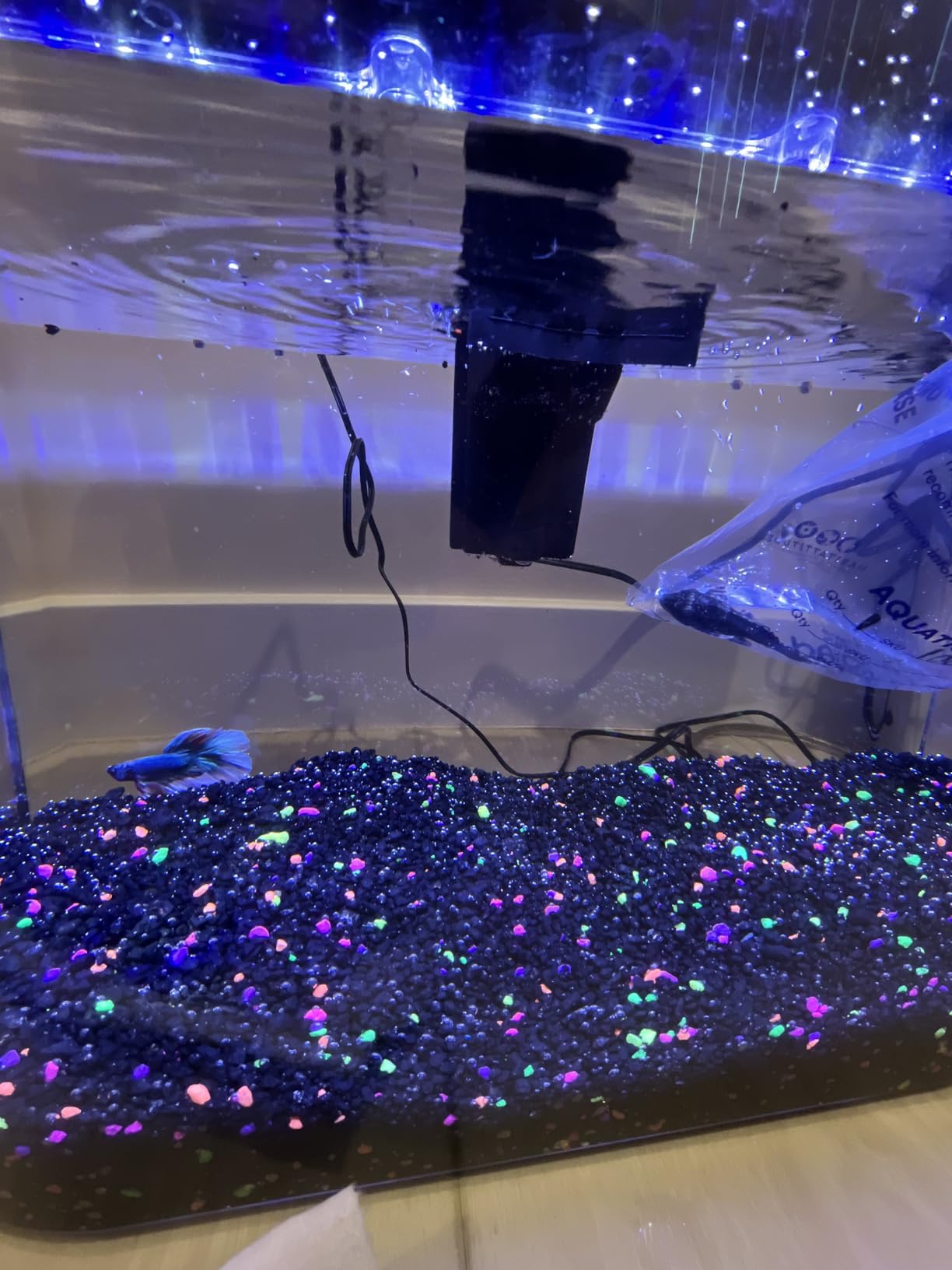 Koller Products 5-Gallon Aquarium Kit with LED Lighting and Power Filter, Ideal for a Variety of Tropical Fish customer photo 1