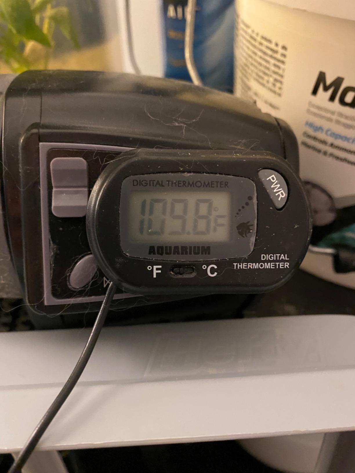 MarineLand 200W Precision Submersible Aquarium Heater customer photo 1