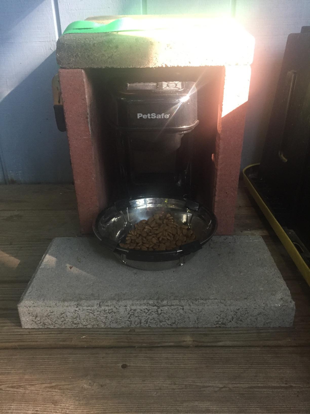 PetSafe Healthy Pet Simply Feed Auto Feeder, Programmable, Holds 24 Cups customer photo 2