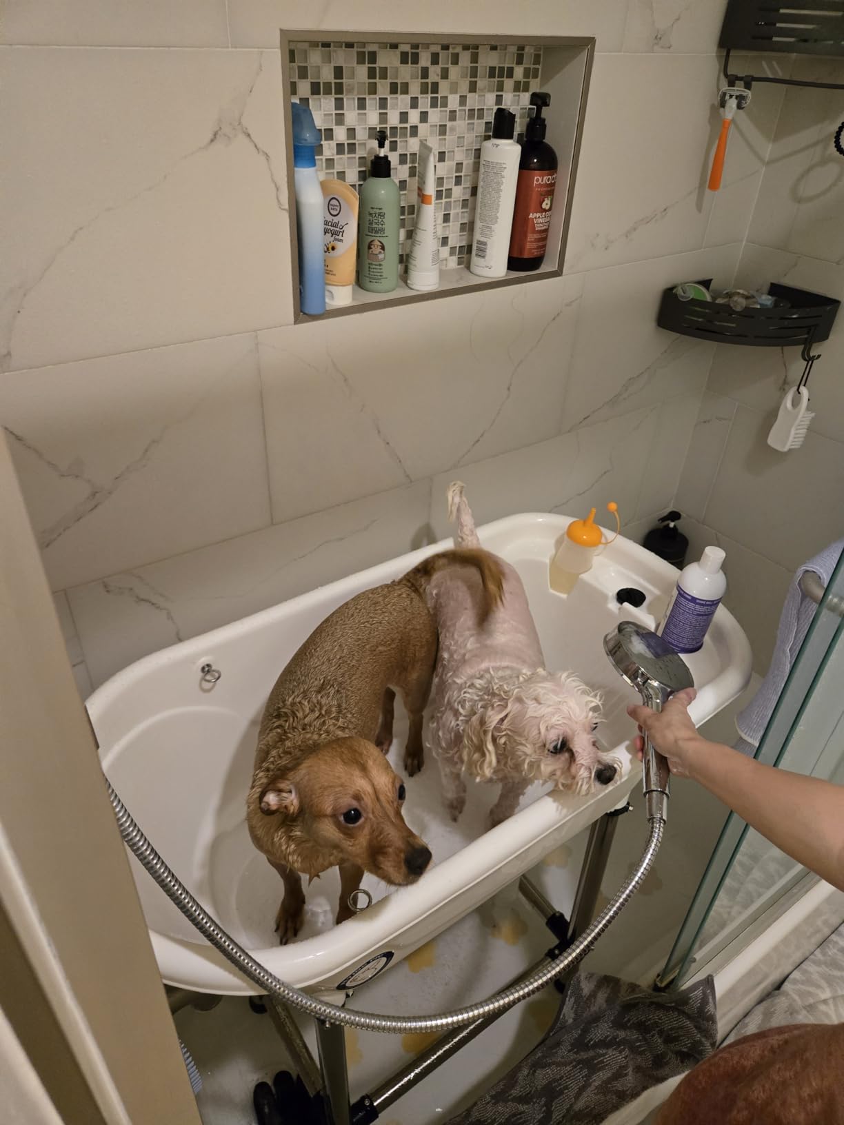 Flying Pig™ Pet Dog Cat Portable Bath Tub (Blue, 37.5