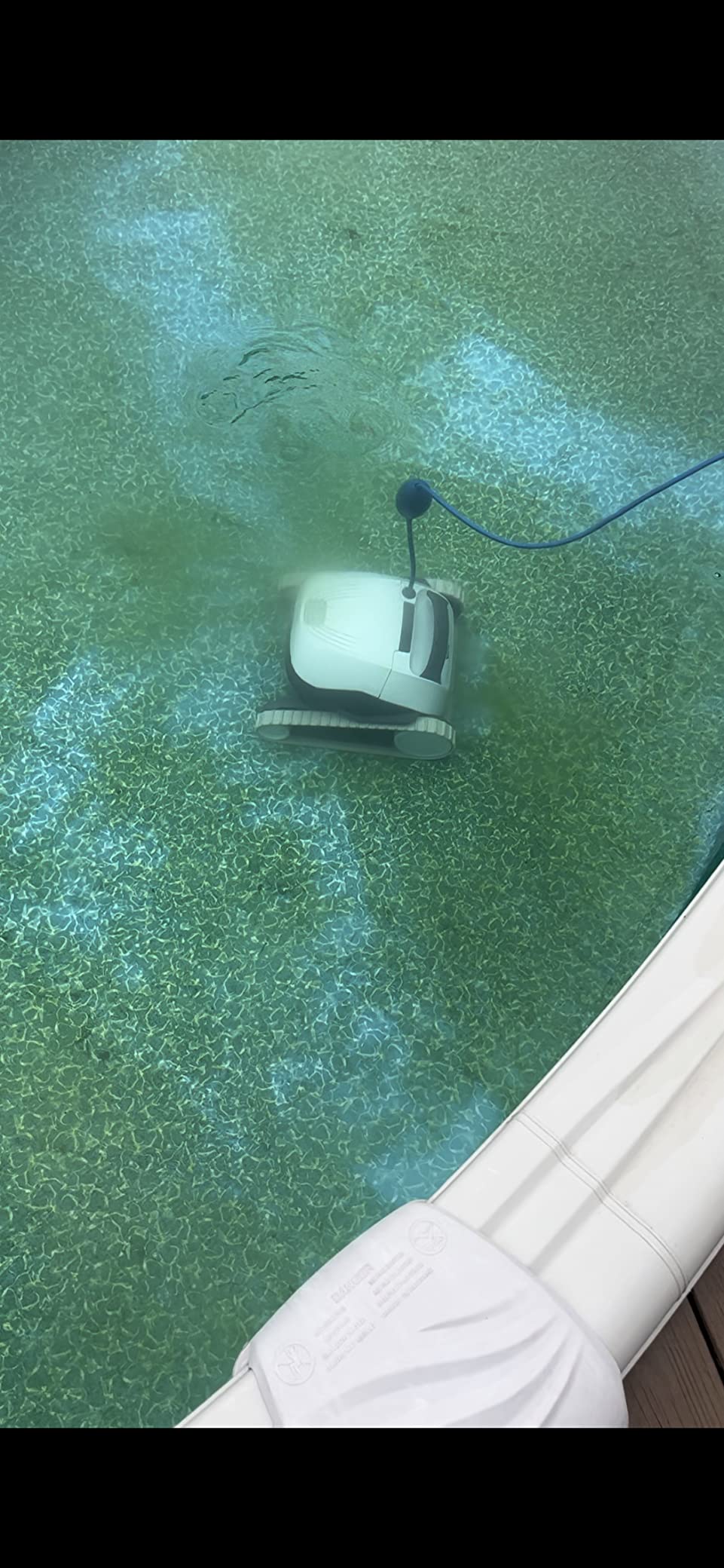 Dolphin (2026 Model) Nautilus AG Automatic Robotic Pool Vacuum Cleaner, Active Scrubber Brush, Top Load Filters Access, Ideal for Above-Ground Pools up to 33 FT in Length customer photo 1