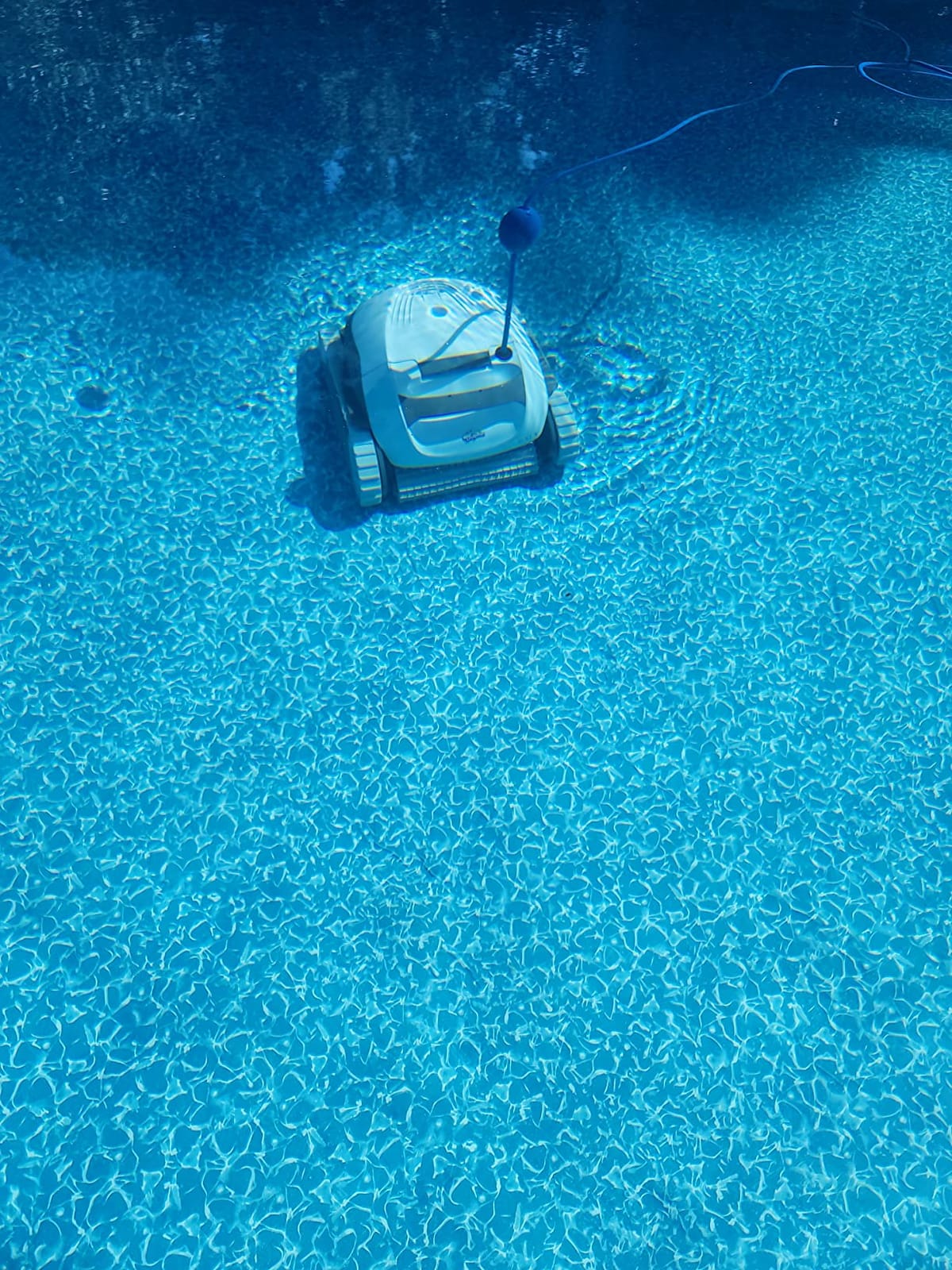 Dolphin (2026 Model) Nautilus AG Automatic Robotic Pool Vacuum Cleaner, Active Scrubber Brush, Top Load Filters Access, Ideal for Above-Ground Pools up to 33 FT in Length customer photo 2