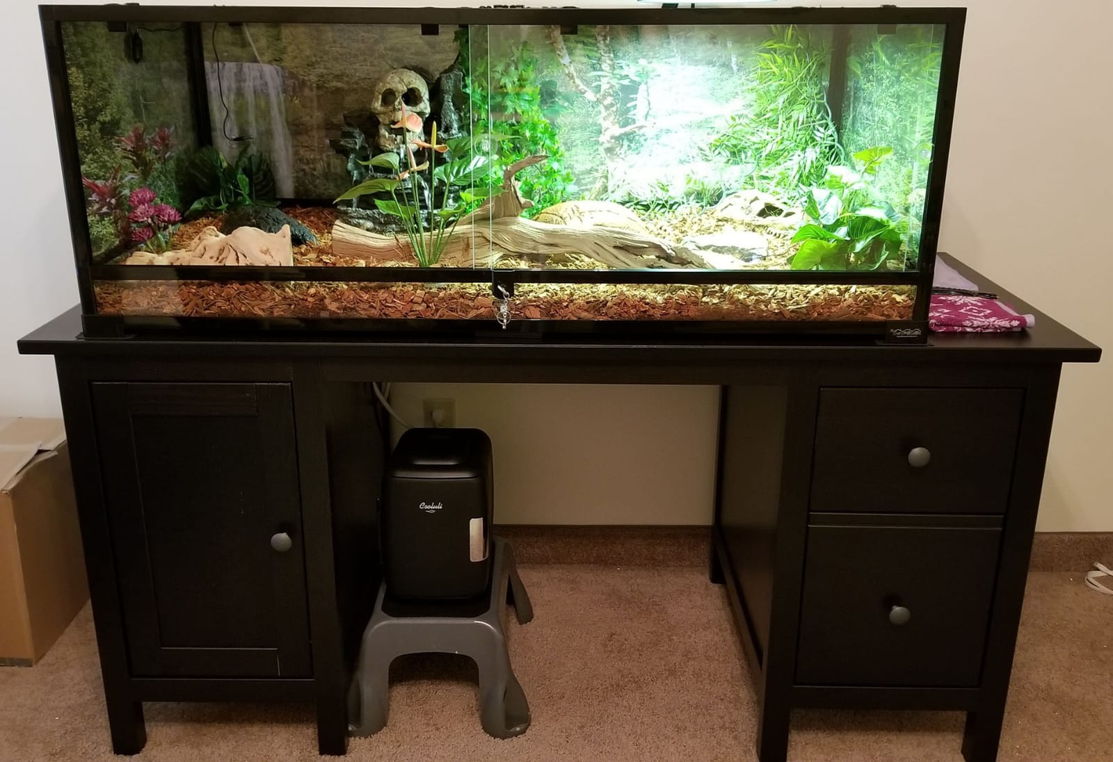 36Lx18Wx18H Reptile Terrarium, 50 Gallon Reptile Tank customer photo 2