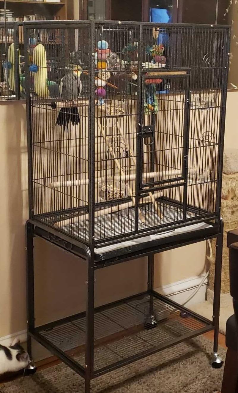 SUPER DEAL 53-Inch Rolling Bird Cage Large Wrought Iron Cage for Cockatiel Sun Conure Parakeet Finch Budgie Lovebird Canary Medium Pet House with Rolling Stand & Storage Shelf customer photo 1