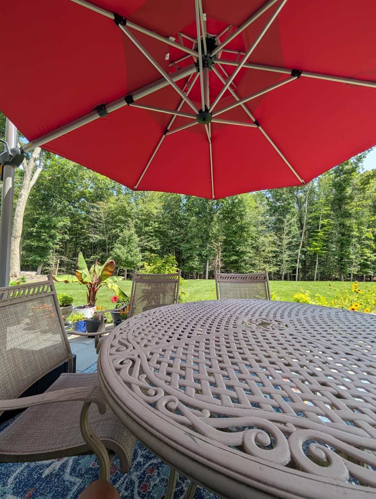 PURPLE LEAF Cantilever Patio Umbrella 10 FT, Wind Resistant Canopy, Terra customer photo 2