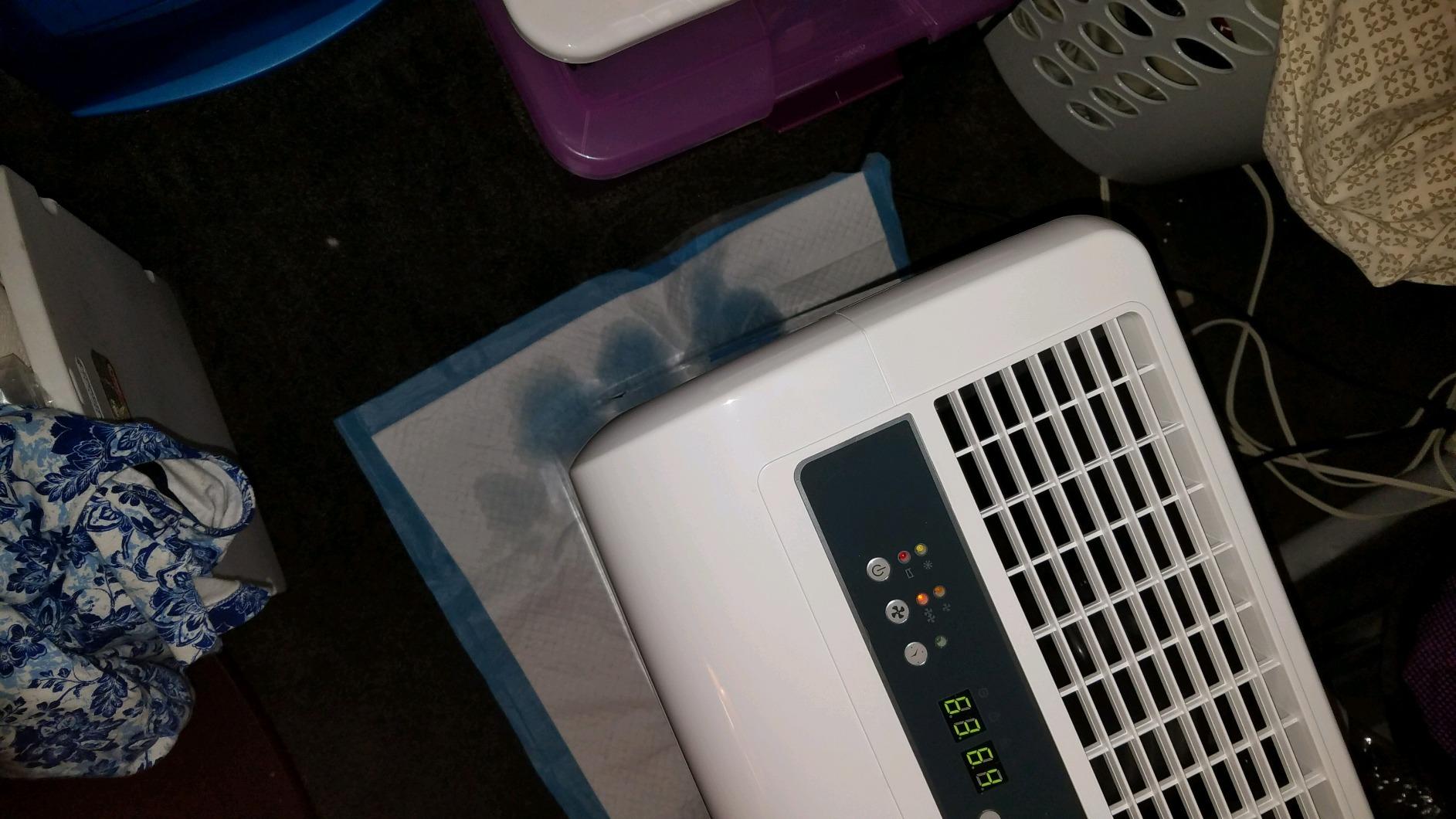 Ivation 50 Pint Dehumidifier for Basement w/Pump & Drain Hose, 4,500 Sq Ft customer photo 2
