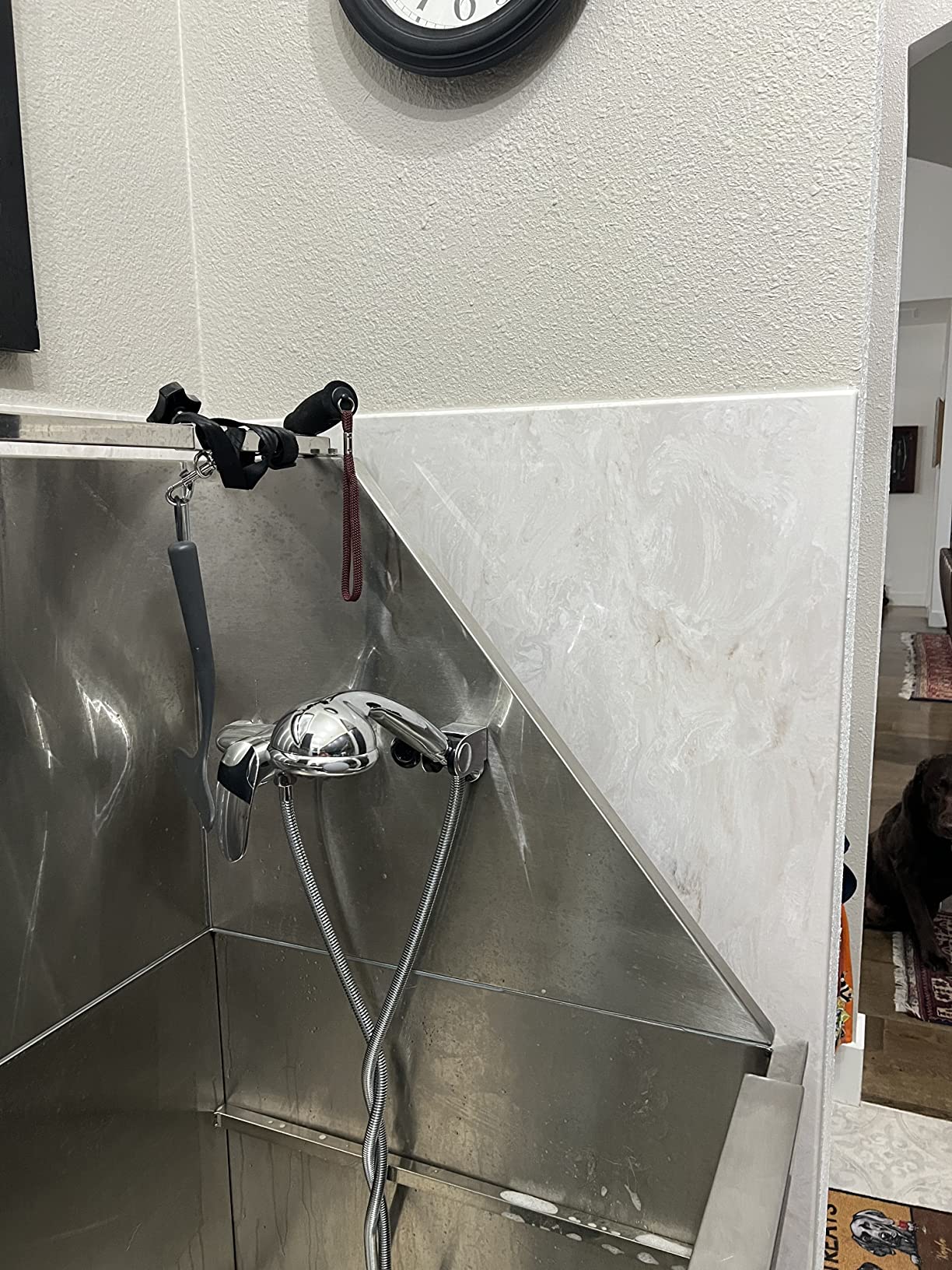 Stainless Steel Dog Grooming Bath Tub with Ramp, Faucet, Hoses and Loops (50