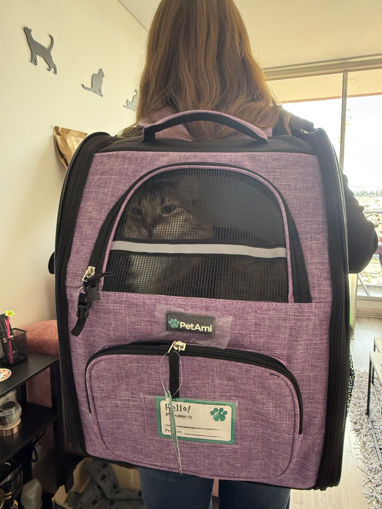 PetAmi Dog Backpack Carrier Airline Approved Cat Pet Puppy Bag, Grey customer photo 1
