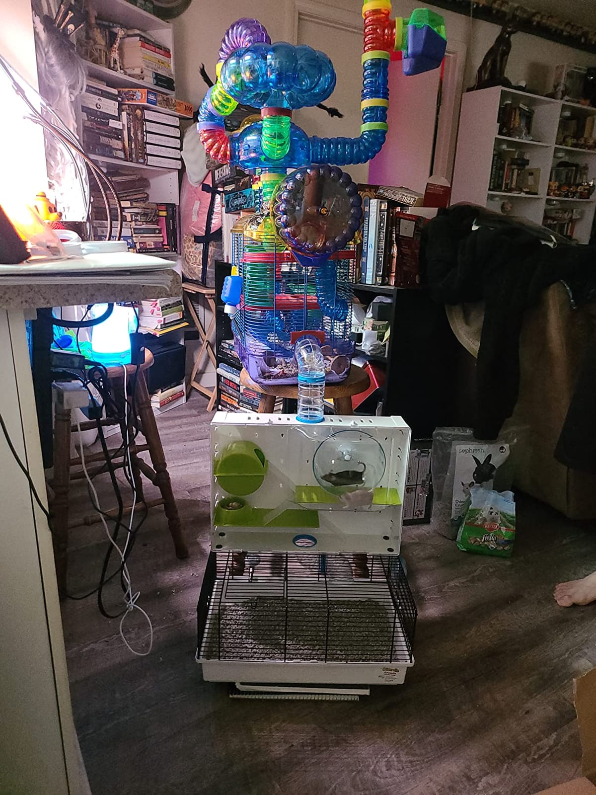 MidWest Homes for Pets Hamster Cage | Awesome Arcade Hamster Home (White) | 18.11 x 11.61 x 21.26 Inch customer photo 2