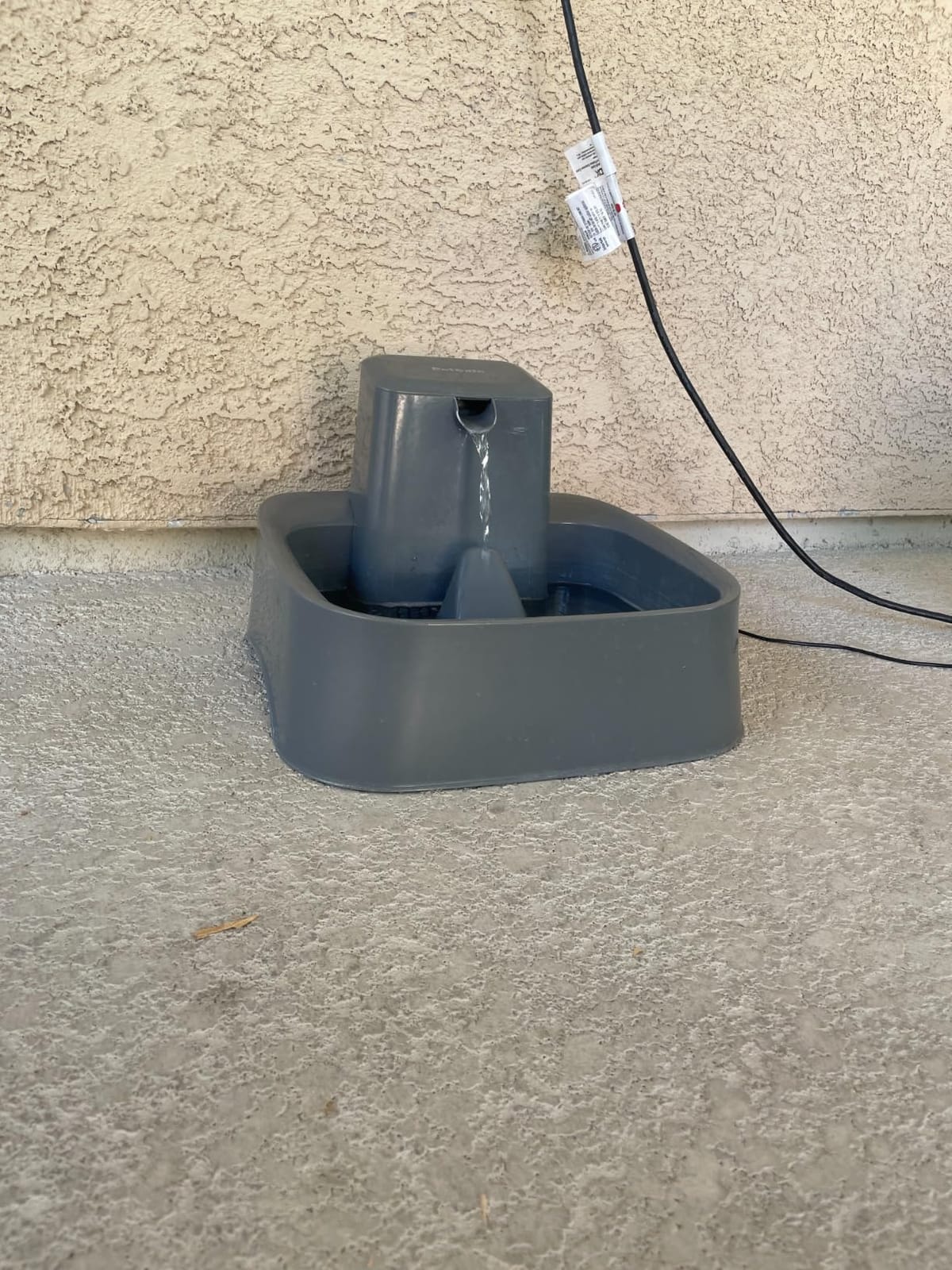 PetSafe Oasys Pet Fountain, 2 Gallon (256 oz), Cats, Dogs & Multi-Pet Homes customer photo 2