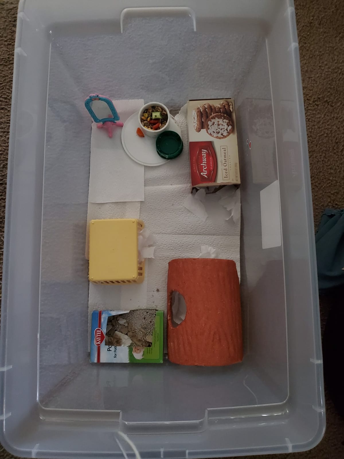 SONGMICS Pet Playpen with Floor, Small Animal Pen, Pet Fence Indoor, DIY Plastic Enclosure for Hamsters, Rabbits, Hedgehogs, Ferrets, 56.3 x 28.7 x 18.1 Inches, White ULPC02W customer photo 1