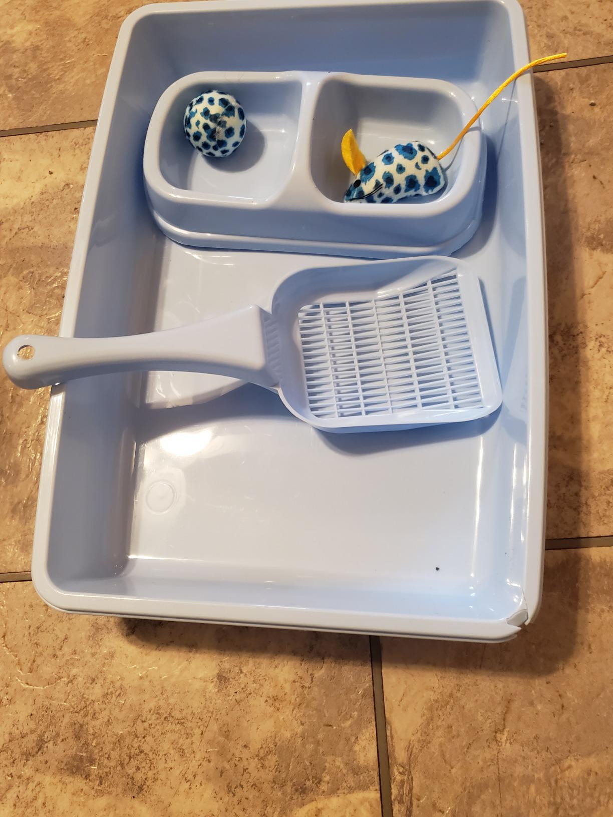 PAWISE Newborn Kitty Litter Box Set 5-Pieces - Shallow Cat Litter Pan, Cat Litter Scooper, Feeding Bowls, Kitten Starter Kit Mouse Toy, 14.5x10.5 Inches, Blue customer photo 2