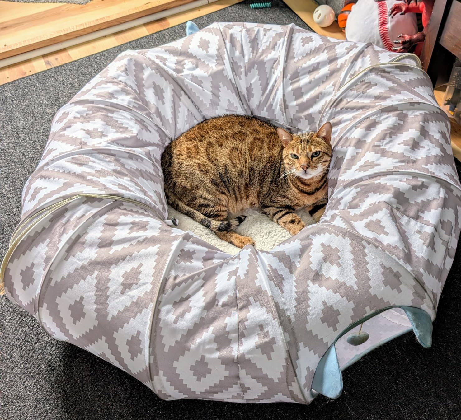 Kitty City Large Cat Tunnel Bed, 2-in-1 Zip-Together Cat Play Tunnel & Plush Nap Bed, Pop-Up Indoor Cat Toy with Hanging Toys, Collapsible Design - White customer photo 1