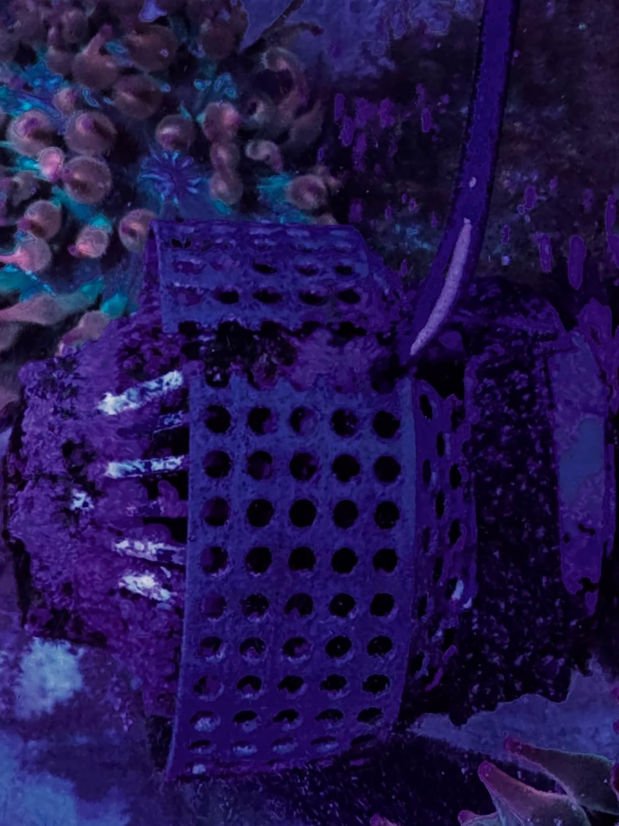 Jebao SOW-8 Wave Maker Flow Pump with Controller for Marine Reef Aquarium customer photo 2